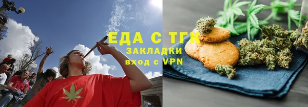 мдпв Бородино