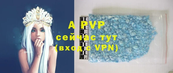 ГАЛЛЮЦИНОГЕННЫЕ ГРИБЫ Верея