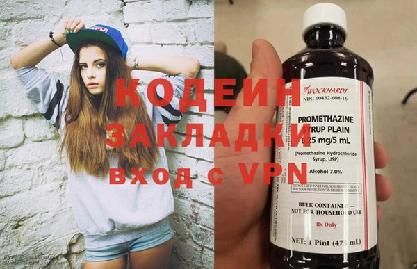 мдпв Бородино