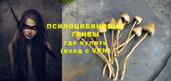 мдпв Бородино