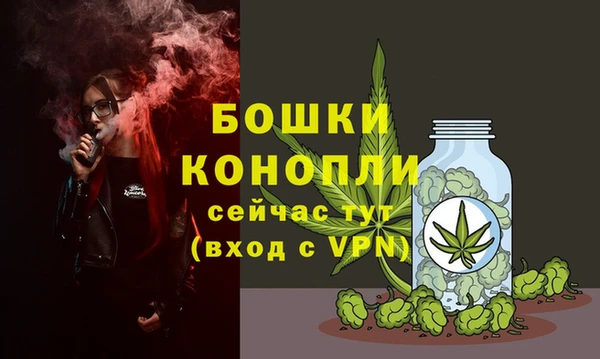 стафф Бронницы