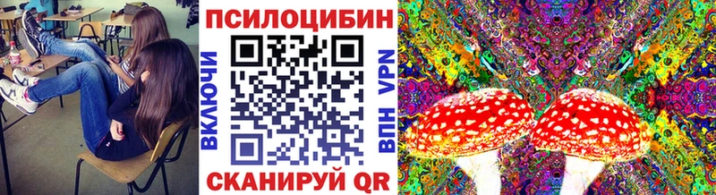 Галлюциногенные грибы прущие грибы  mega ссылки  Зубцов 